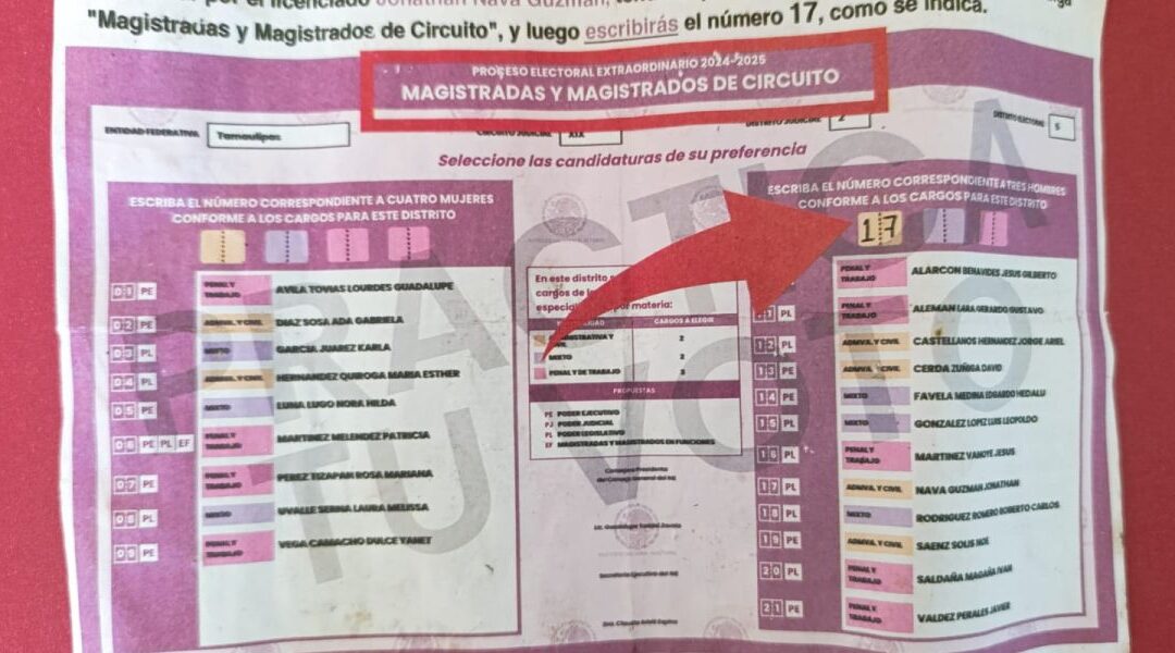Rechaza TEPJF investigación sobre “Operación Acordeón” por falta de pruebas