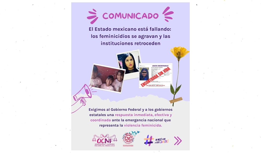 El Estado mexicano está fallando: los feminicidios se agravan y las instituciones retroceden