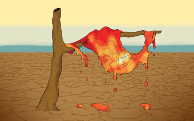 El ecocidio de nuestra vida cotidiana