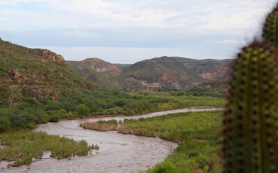 Clasificación del agua para entender su gestión