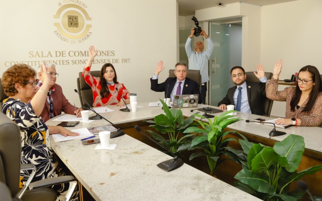 Avanza en Comisión la armonización de Ley de Salud