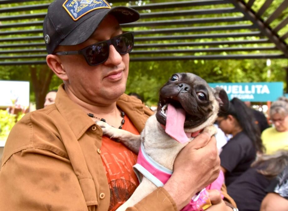 Lanzan”Huellita Segura”, programa para protección de animales de compañía en Hermosillo