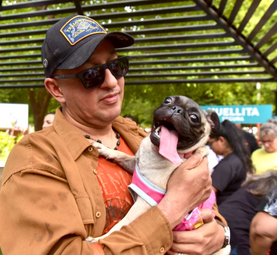 Lanzan"Huellita Segura", programa para protección de animales de compañía en Hermosillo pug