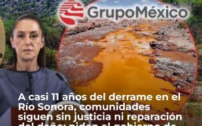 La defensa del agua: cuando lo político se convierte en personal