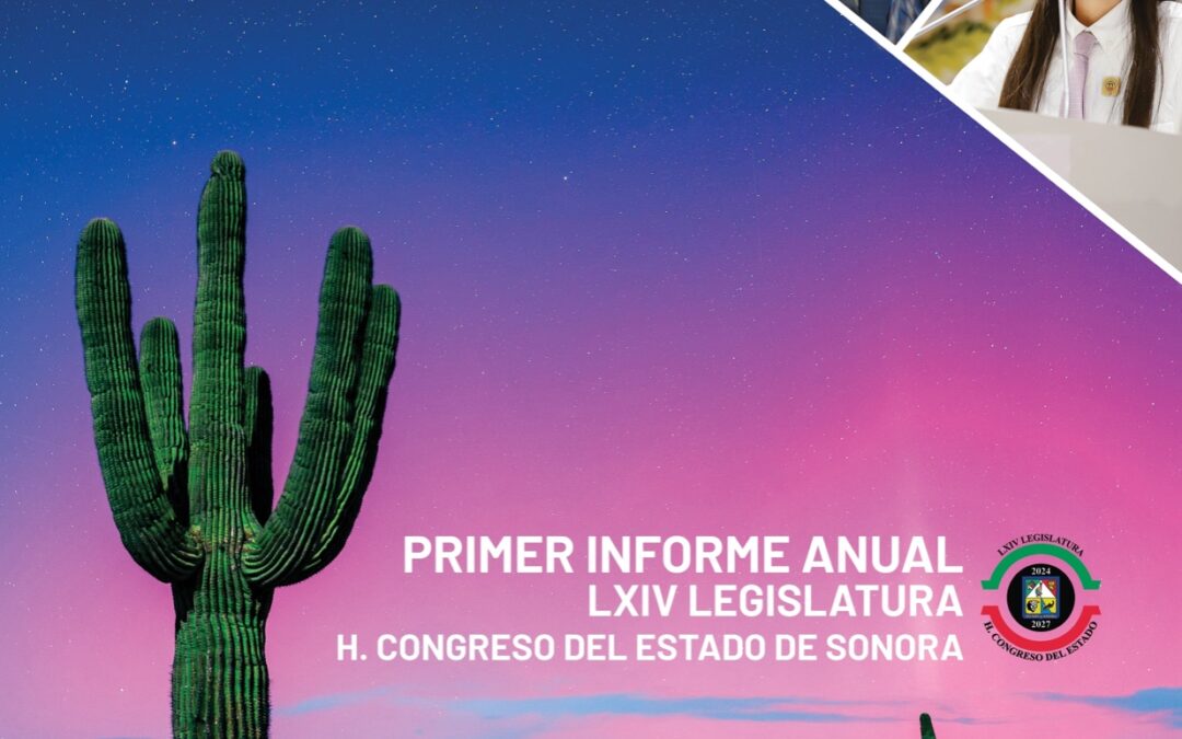 Primer Informe Anual de Actividades Legislativa