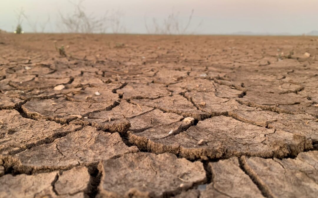 Los límites del desarrollo capitalista y el cambio climático