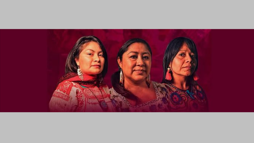 Cholula usa imagen de defensoras del territorio para deslegitimarlas: Vargas Teutle