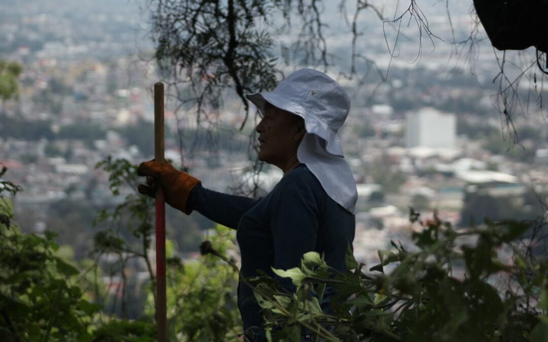 Doce días en la sierra