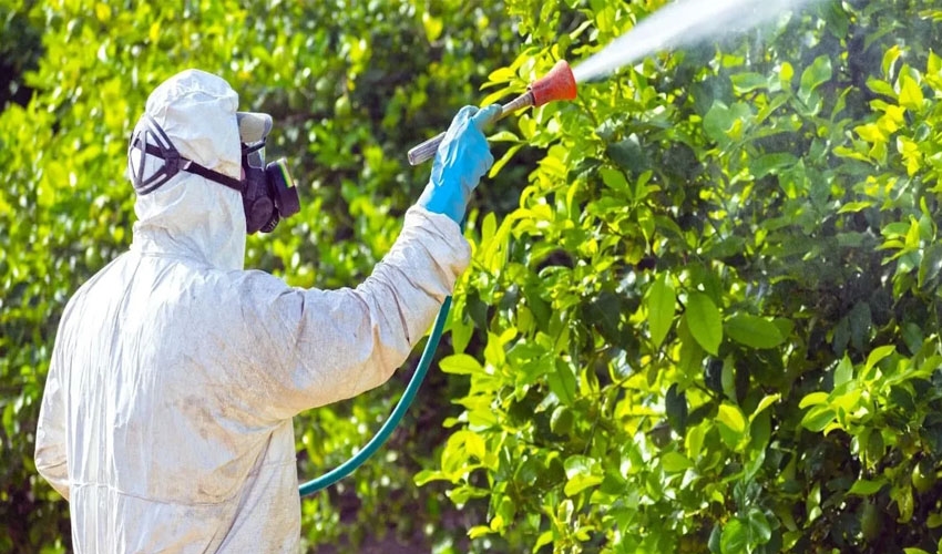 México prohíbe comercialización y uso de plaguicidas altamente peligrosos