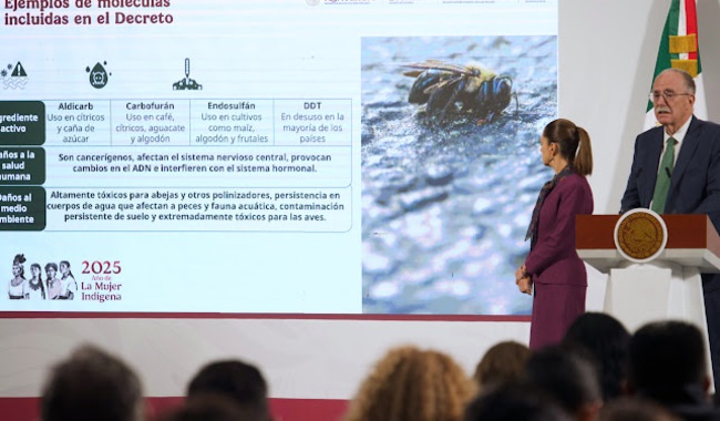 Gobierno de México prohíbe 35 plaguicidas de alto riesgo para la salud y el medio ambiente