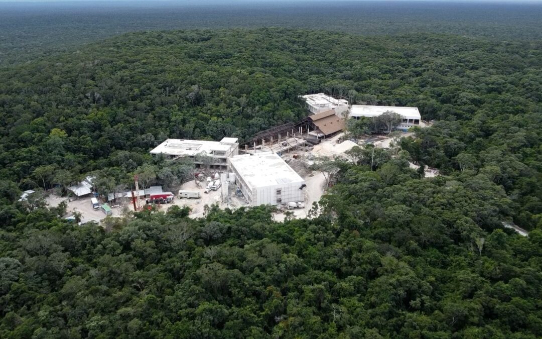 Tenemos otros datos: La selva de Calakmul y los jaguares en riesgo por el Hotel Militar