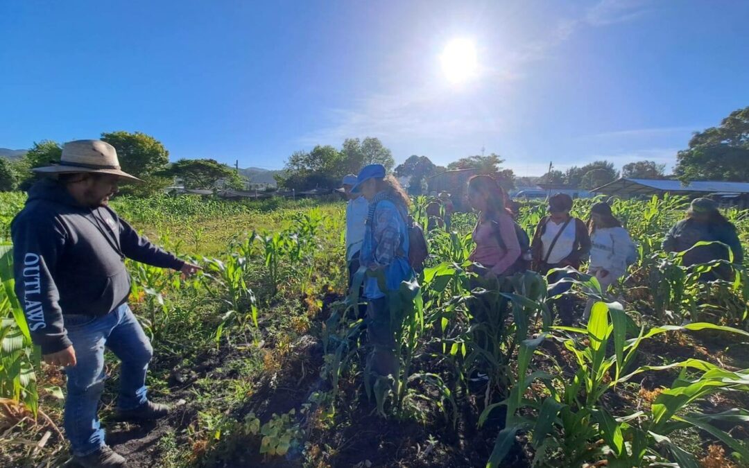 Radio Coamil: “Caminos y retos de la defensa del maíz criollo y nativo. Experiencias del Huerto Agroecológico Atemajac (Zapopan, Jalisco) y Tsomanotik (Tzimol, Chiapas)”