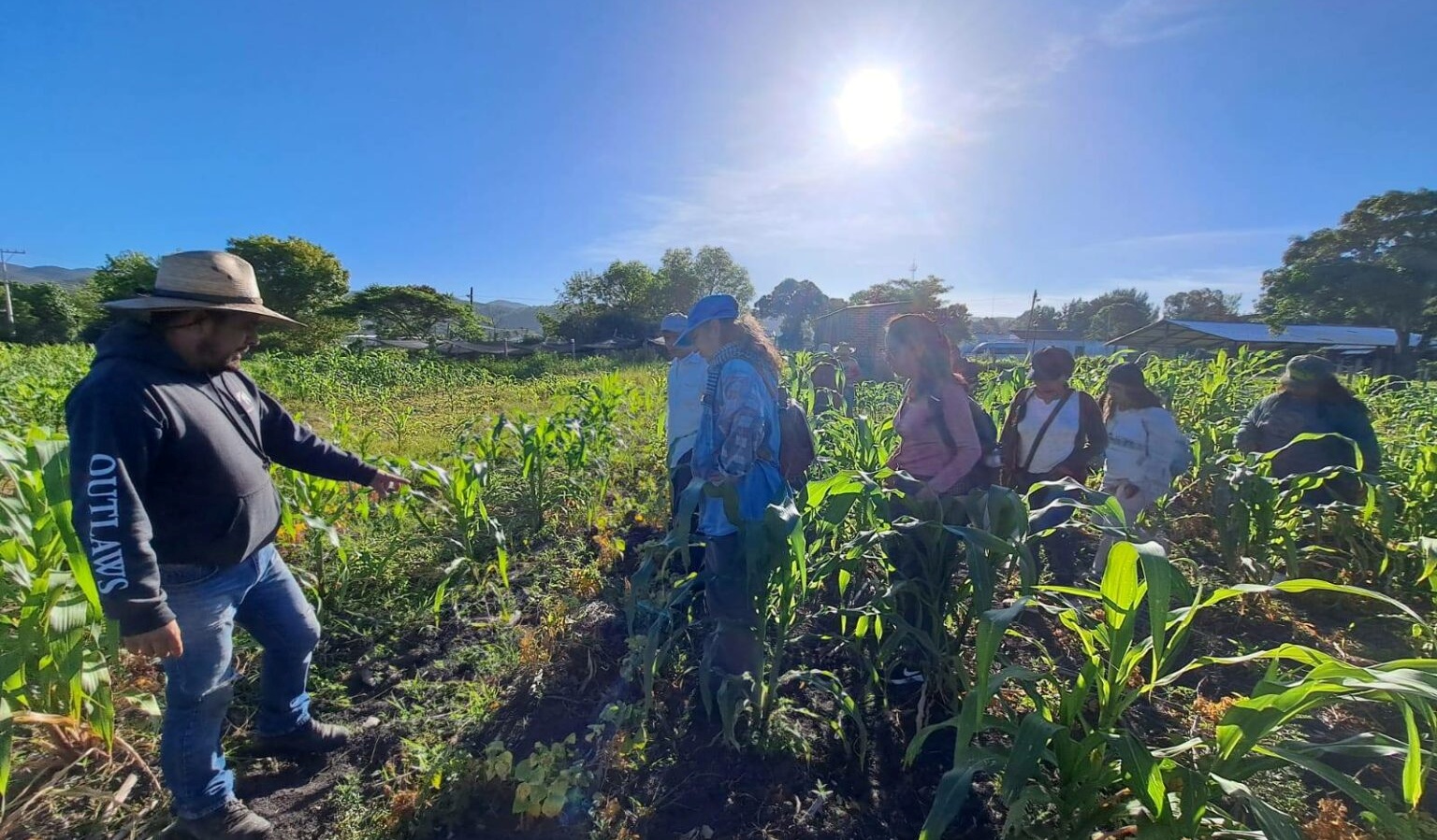 Radio Coamil: “Caminos y retos de la defensa del maíz criollo y nativo. Experiencias del Huerto Agroecológico Atemajac (Zapopan, Jalisco) y Tsomanotik (Tzimol, Chiapas)” Radio
