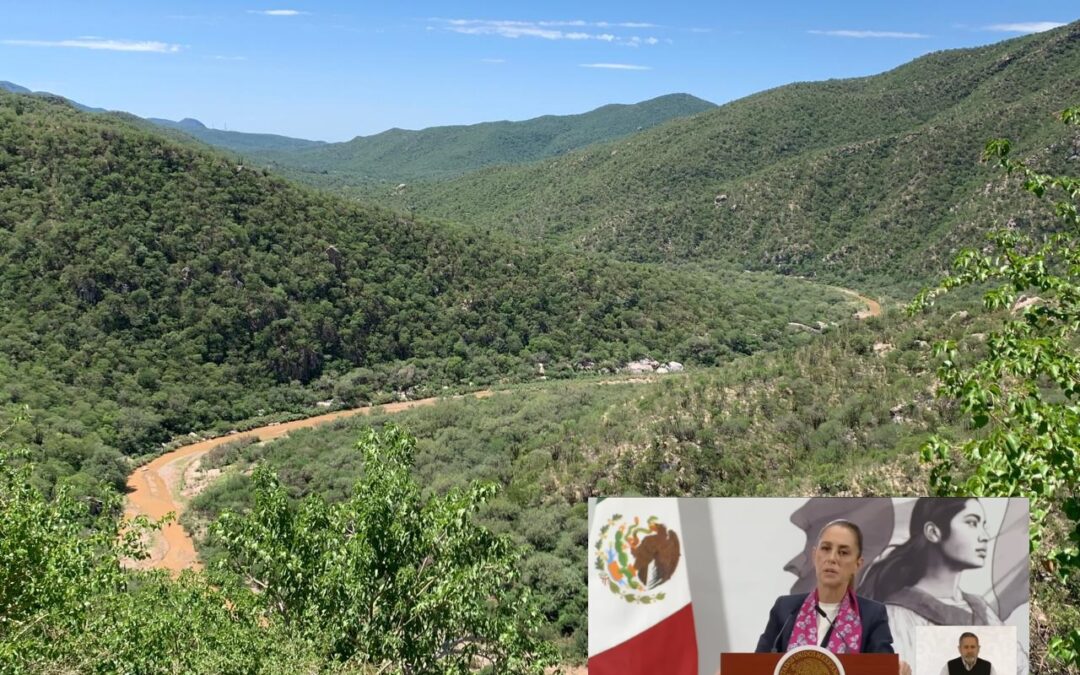 La consulta será una encuesta