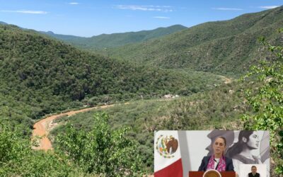 La consulta será una encuesta