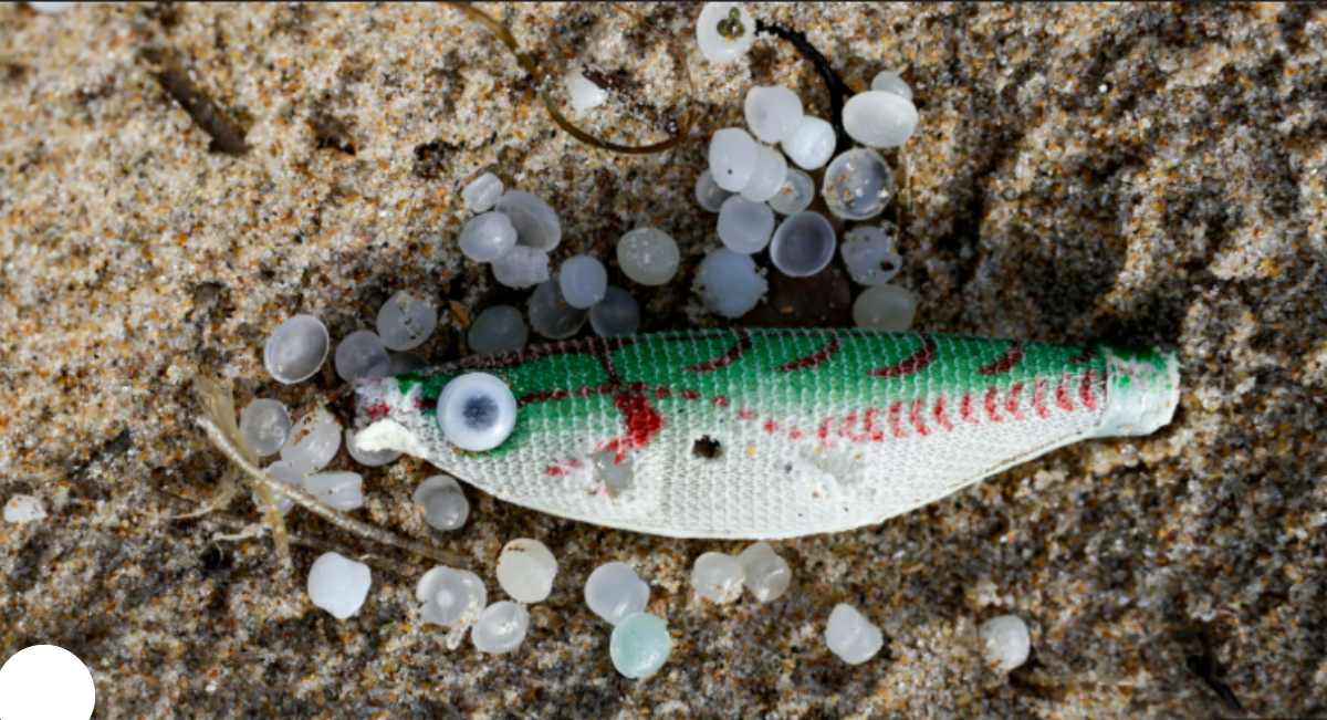 capture-20251007-135218