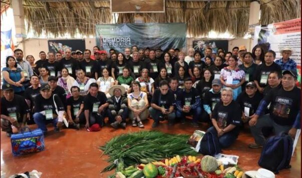 Pronunciamiento del Foro de Memoria Histórica: a 30 años de la guerra contrainsurgente en Chiapas