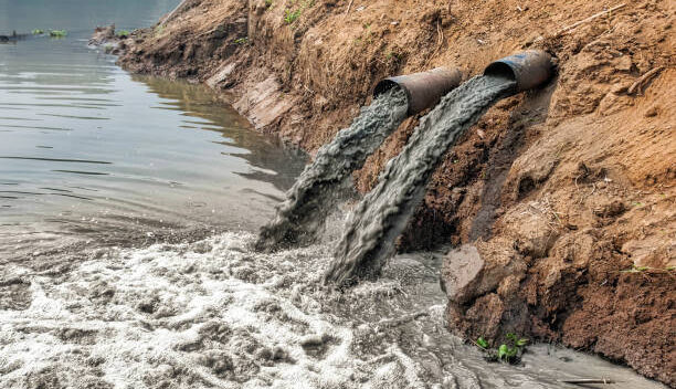 ¡Que el que contamina, pague! Diputados buscan obligar a empresas a asumir costos ambientales