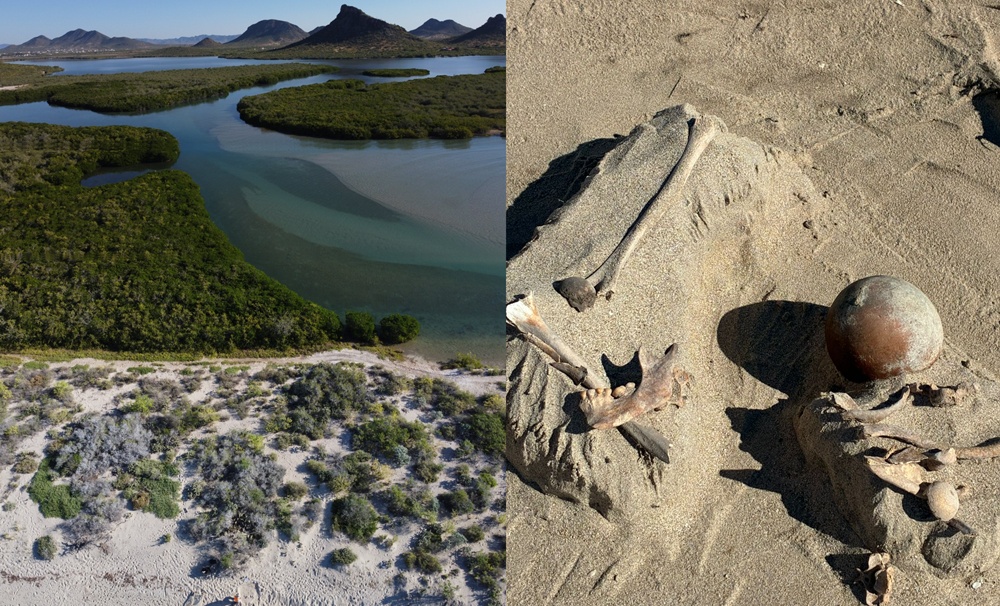 Descubren Entierro Prehispánico en Estero El Soldado, Sonora