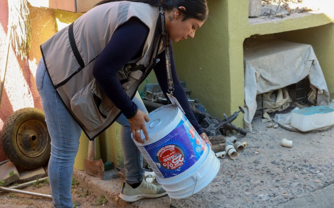 Hay que mantener limpios los hogares para evitar enfermarse de dengue