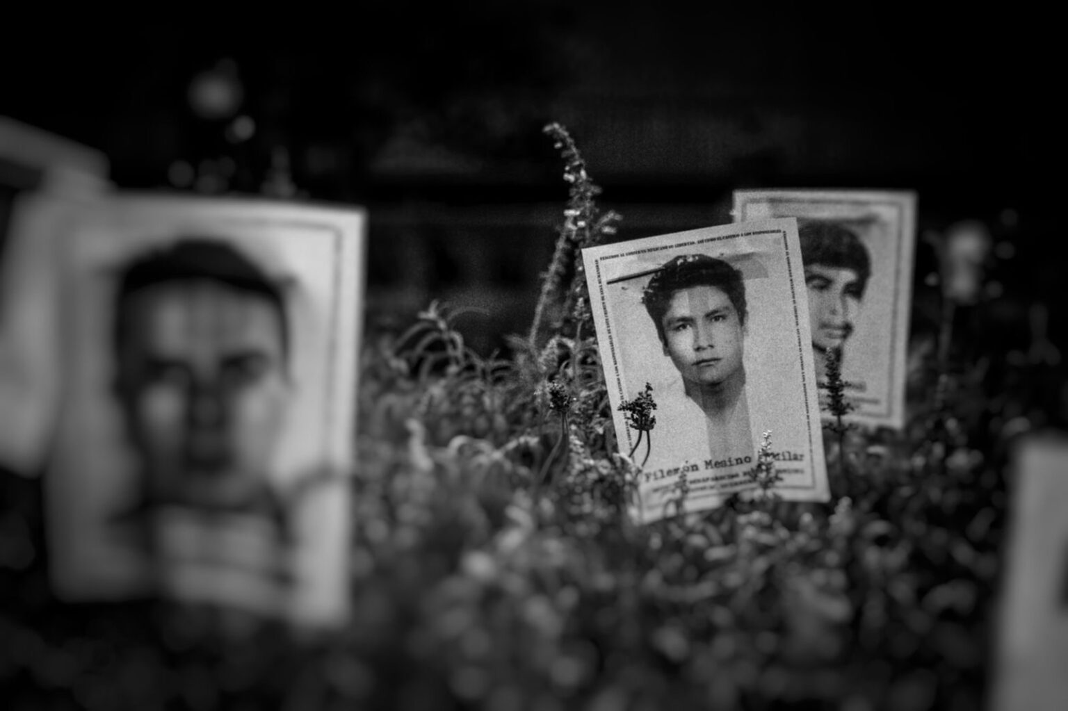 9067031f-213f-4454-8d71-dc76d191d0d2-1536x1023