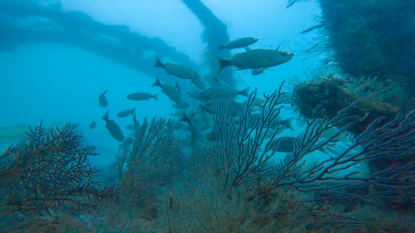 WhatsApp Image 2025-12-07 at 15.11.08