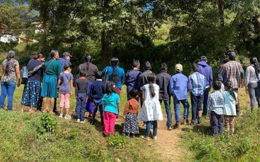 4 años de impunidad de las graves violaciones a los derechos humanos hacia familias de la comunidad Nueva Palestina