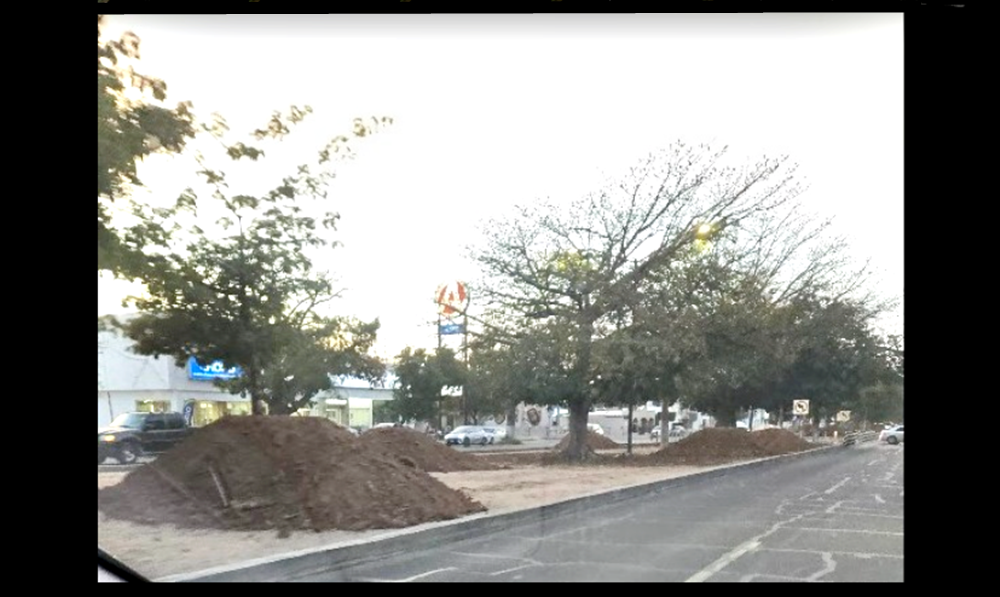 Rellenan camellón del bulevar Morelos