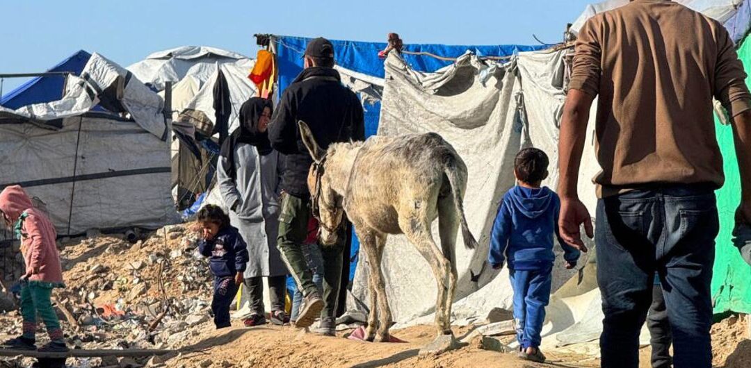 Israel sigue matando civiles en Gaza pese al alto el fuego