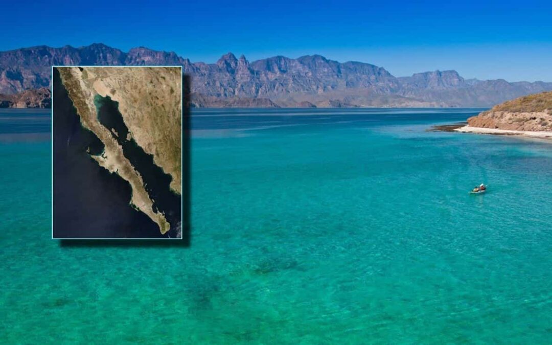 Sheinbaum pide estudios ambientales por posible desaladora en el Golfo de California