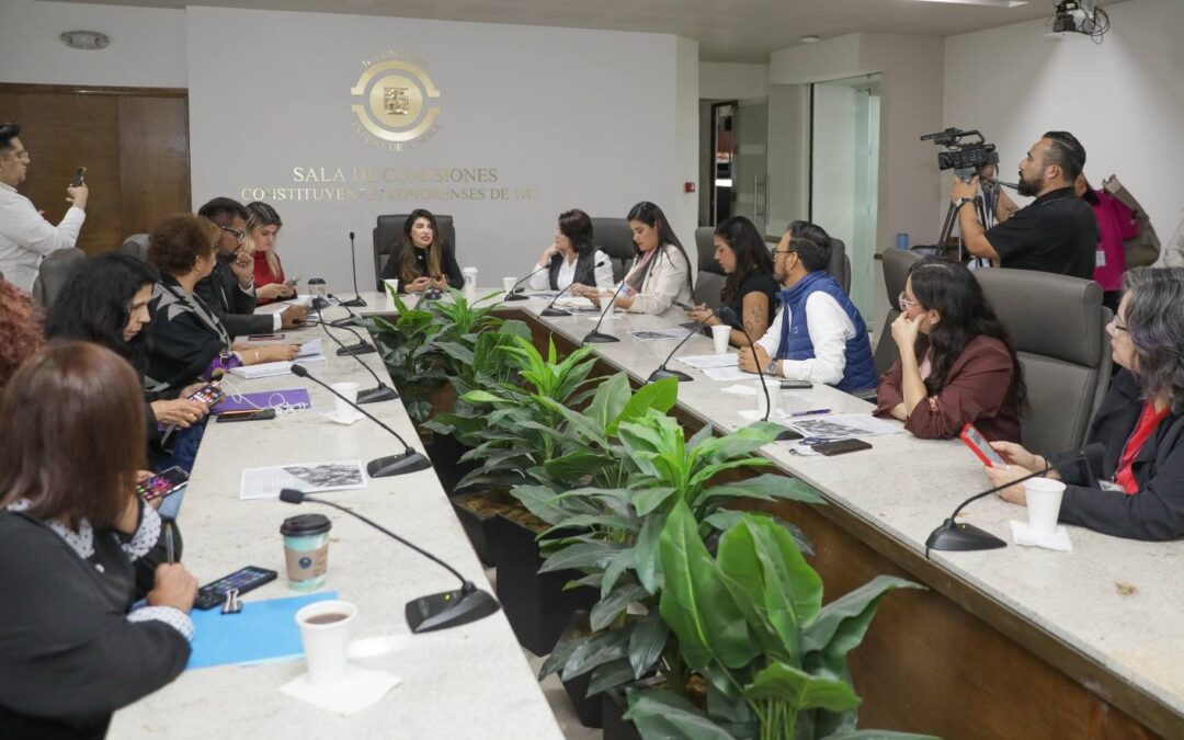 Representantes de organizaciones por los derechos de las mujeres presentan en el Congreso análisis sobre medidas de la AVGM
