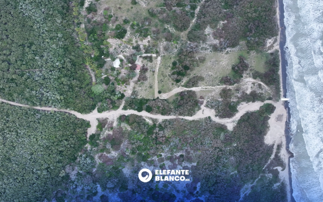 Talan 700 metros de mangle en Tampico Alto para habilitar accesos privados a playa Hermosa