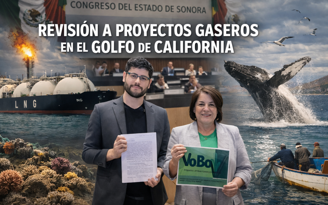 Congreso de Sonora pide revisar proyectos gaseros en el Golfo de California
