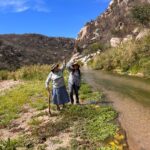 651318792_122175726560753306_3093073420937983068_n