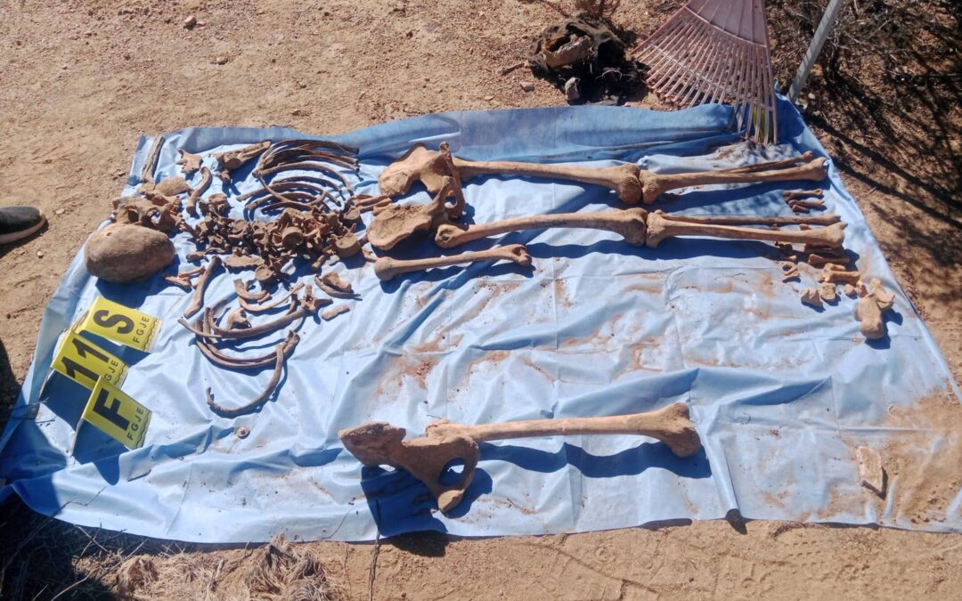 Hallan “panteón” clandestino usado por mucho tiempo en el desierto de Sonora