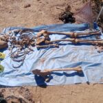 652064139_2631176400599010_4375354793408713502_n