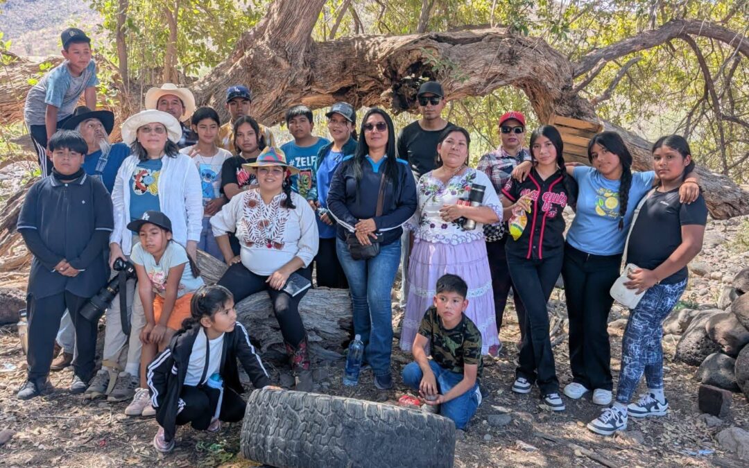 Al rescate de los teneboy; adiós a los tenabaris de PET