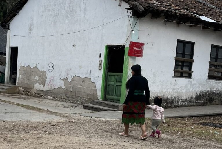 Maternidad, identidad y comunidad: complejidades de las mujeres en situación de desplazamiento forzado en Chiapas