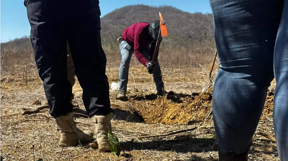 Colectivo localiza fosa clandestina en El Verde Concordia y denuncia falta de apoyo oficial