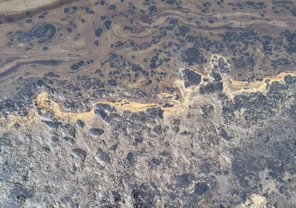 Denuncian ecocidio en las costas de Veracruz por derrame de combustible