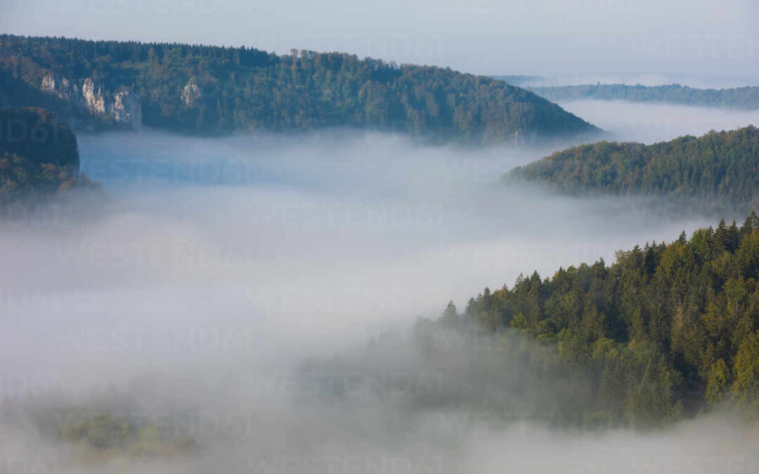 El pequeño ciclo del agua como resistencia a la crisis climática