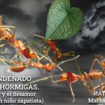 hormiga