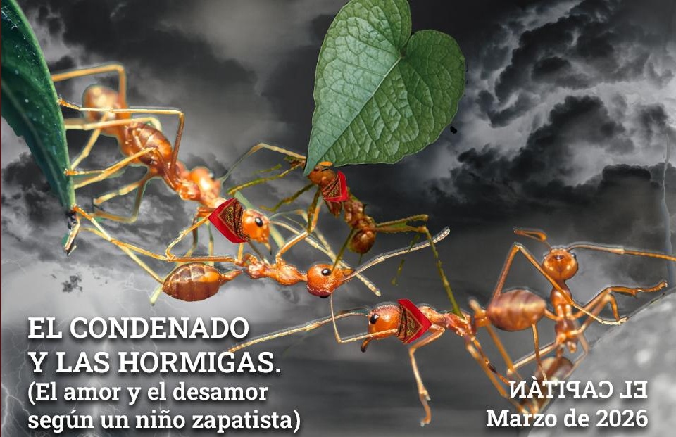 El Condenado y las Hormigas. (El amor y el desamor según un niño zapatista) | ͶÀTIꟼAƆ ⅃Ǝ