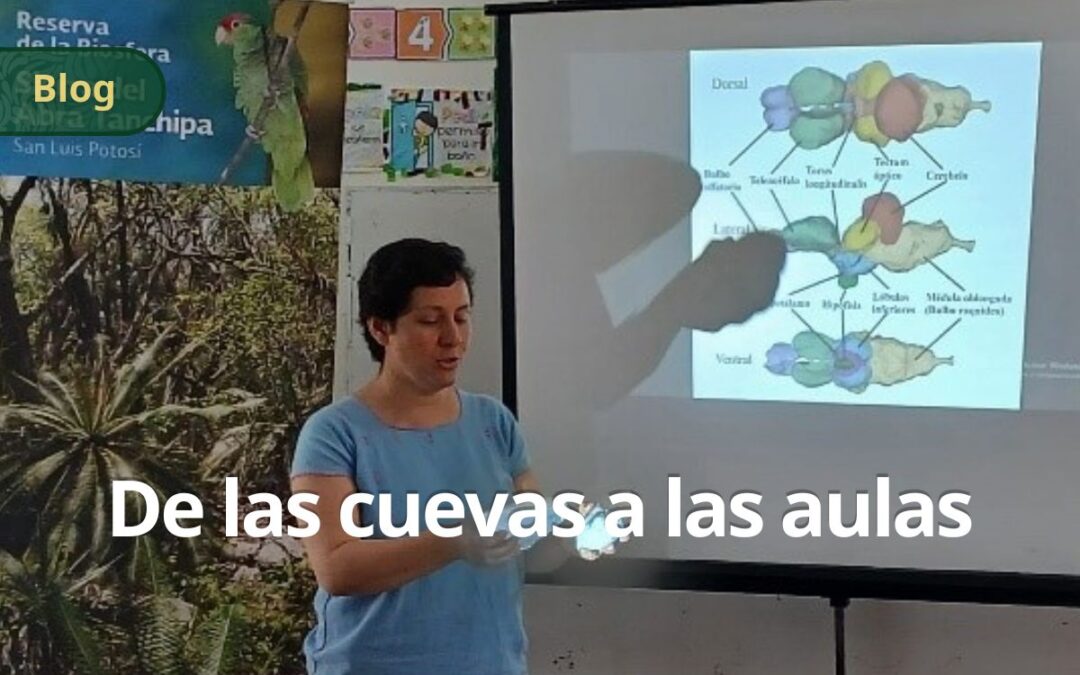 De las cuevas a las aulas