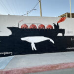 20250313_on_saguaroprojecttwo