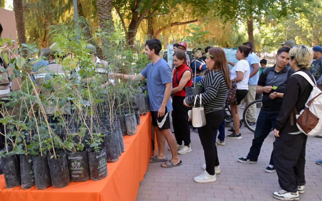 Entregan mil árboles nativos en Hermosillo como parte de acciones ambientales