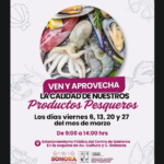 Captura de pantalla 2026-04-06 202325