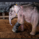 Captura de pantalla 2026-04-09 203100