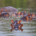 Captura de pantalla 2026-04-15 174847