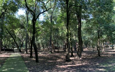 Más allá del colapso climático está la recuperación de los ecosistemas